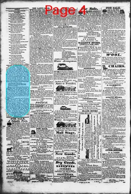 Page thumbnail for Litchfield Enquirer