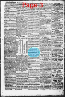 Page thumbnail for Litchfield Enquirer