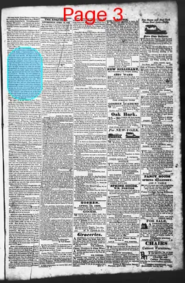 Page thumbnail for Litchfield Enquirer