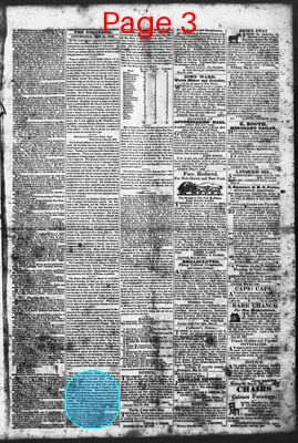 Page thumbnail for Litchfield Enquirer
