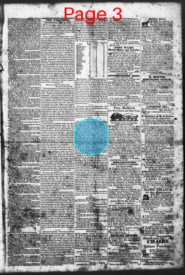Page thumbnail for Litchfield Enquirer