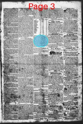 Page thumbnail for Litchfield Enquirer