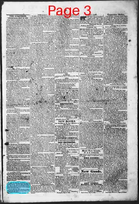 Page thumbnail for Litchfield Enquirer