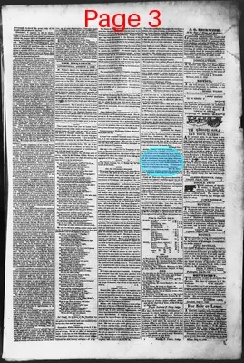 Page thumbnail for Litchfield Enquirer