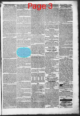 Page thumbnail for Litchfield Enquirer