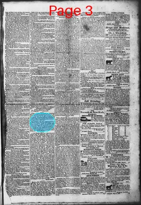 Page thumbnail for Litchfield Enquirer