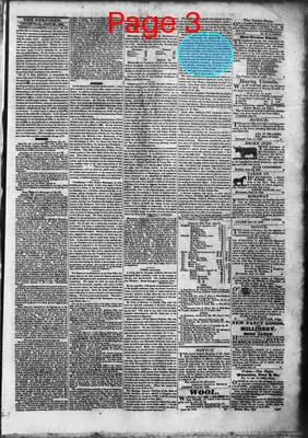 Page thumbnail for Litchfield Enquirer