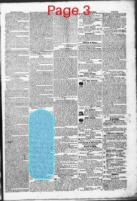 Page thumbnail for Litchfield Enquirer