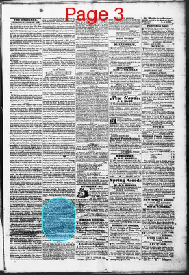 Page thumbnail for Litchfield Enquirer