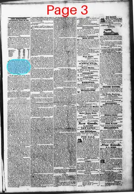 Page thumbnail for Litchfield Enquirer
