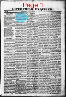 Page thumbnail for Litchfield Enquirer