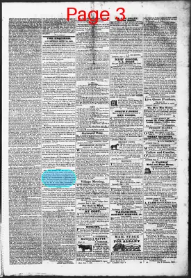 Page thumbnail for Litchfield Enquirer