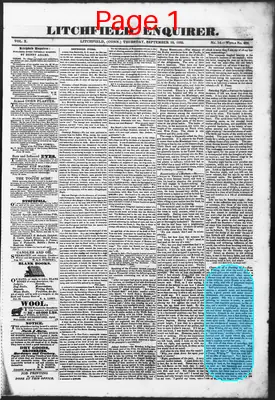 Page thumbnail for Litchfield Enquirer