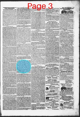 Page thumbnail for Litchfield Enquirer