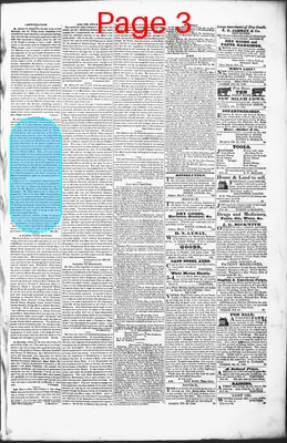 Page thumbnail for Litchfield Enquirer