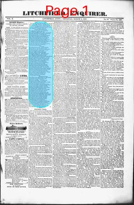 Page thumbnail for Litchfield Enquirer