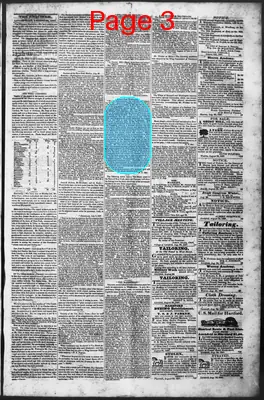 Page thumbnail for Litchfield Enquirer