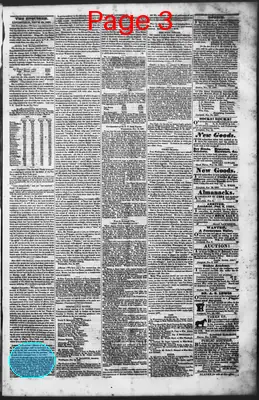 Page thumbnail for Litchfield Enquirer