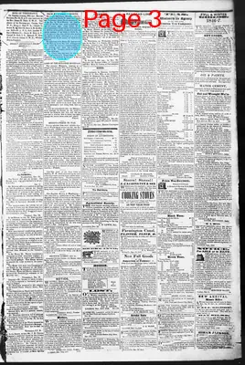 Page thumbnail for Litchfield Enquirer