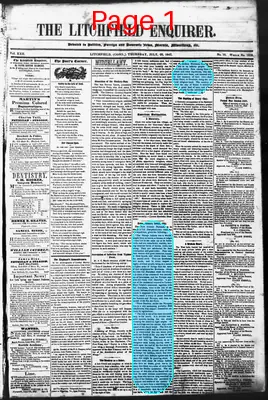 Page thumbnail for Litchfield Enquirer