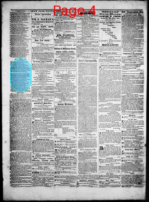 Page thumbnail for Litchfield Enquirer