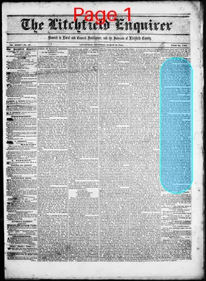 Page thumbnail for Litchfield Enquirer