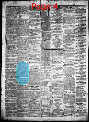 Page thumbnail for Litchfield Enquirer