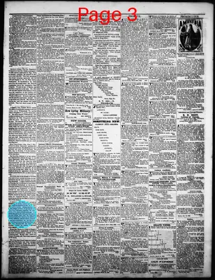 Page thumbnail for Litchfield Enquirer