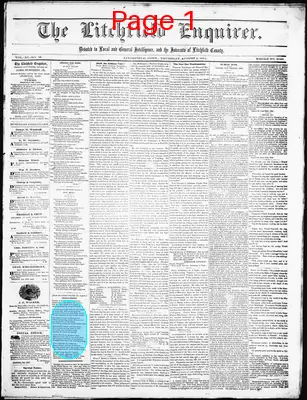 Page thumbnail for Litchfield Enquirer