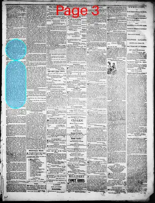 Page thumbnail for Litchfield Enquirer