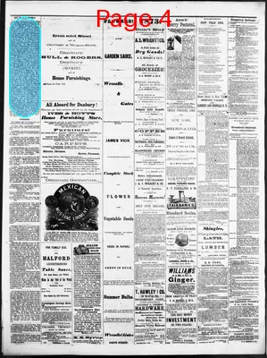 Page thumbnail for Litchfield Enquirer