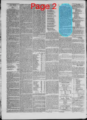 Page thumbnail for The Daily Madisonian
