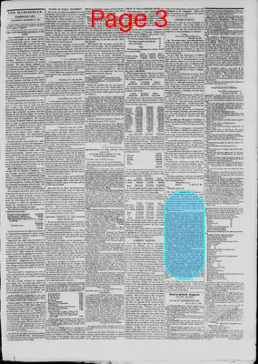 Page thumbnail for The Daily Madisonian