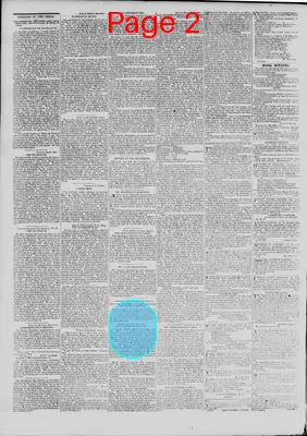 Page thumbnail for The Daily Madisonian