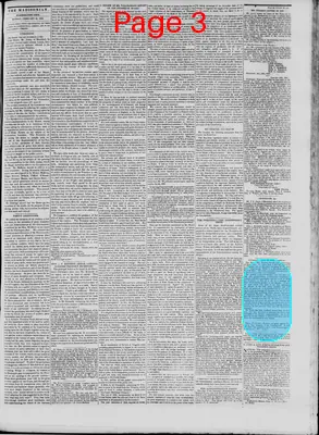 Page thumbnail for The Daily Madisonian