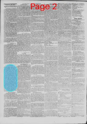Page thumbnail for The Daily Madisonian