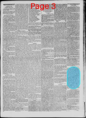 Page thumbnail for The Daily Madisonian
