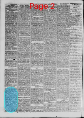 Page thumbnail for The Daily Madisonian