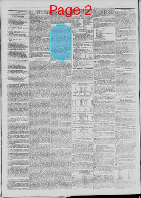 Page thumbnail for The Daily Madisonian