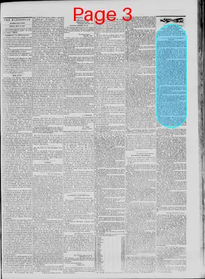Page thumbnail for The Daily Madisonian