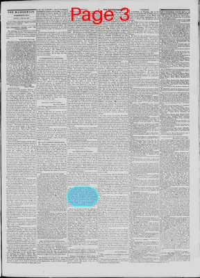 Page thumbnail for The Daily Madisonian
