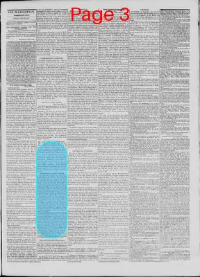 Page thumbnail for The Daily Madisonian