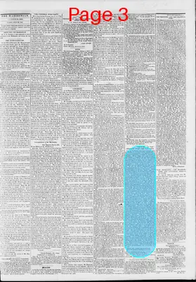 Page thumbnail for The Daily Madisonian