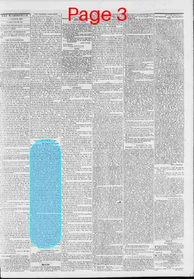 Page thumbnail for The Daily Madisonian