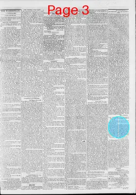Page thumbnail for The Daily Madisonian