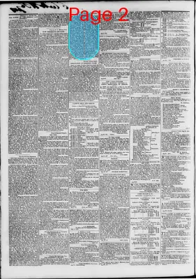 Page thumbnail for The Daily Madisonian