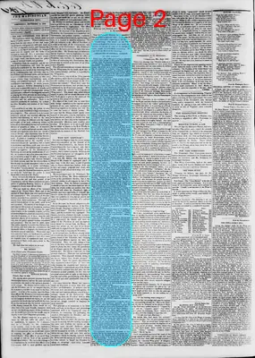 Page thumbnail for The Daily Madisonian