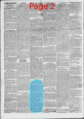 Page thumbnail for The Daily Madisonian