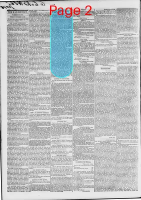 Page thumbnail for The Daily Madisonian