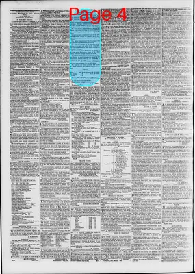 Page thumbnail for The Daily Madisonian